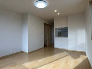 フェリックス－Ｓ 0205号-2