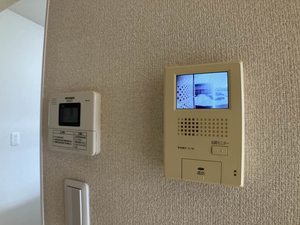 フェリックス－Ｓ 0205号-10