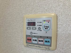 フェリックス－Ｓ 0205号-12