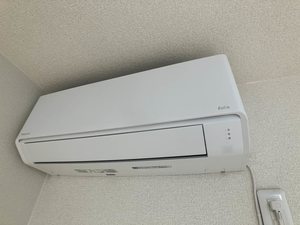 フェリックス－Ｓ 0205号-13