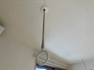 フェリックス－Ｓ 0205号-14