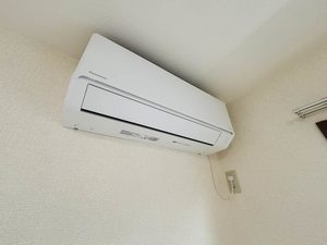 メゾンドレディ 0101号-14