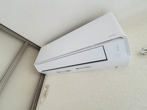 メゾンドレディ 0102号-4
