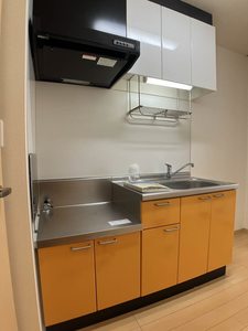 リジュール　オオタ B211号-3