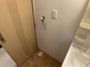 リジュール　オオタ B211号-9