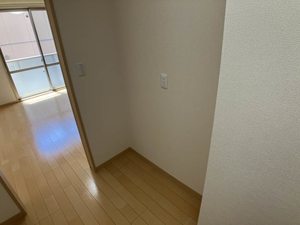 リジュール　オオタ B211号-11