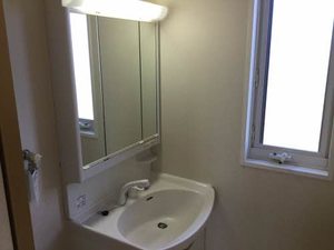 デュアルブラウン B102号-11