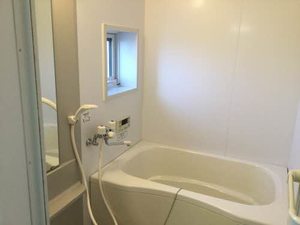 デュアルブラウン B102号-12