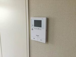 デュアルブラウン B102号-13