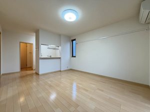 ソフィア　ナカツチ B206号-14