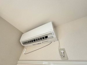 ブランシェアイリスC 0202号-15