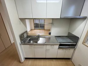 ディアスＭＪ 0102号-4