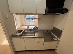 ＳｔｅｌｌａⅢ 3102号-4