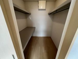 ＳｔｅｌｌａⅢ 3102号-6