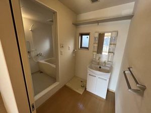 ＳｔｅｌｌａⅢ 3102号-7