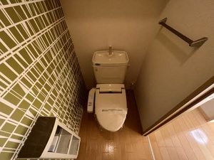 ＳｔｅｌｌａⅢ 3102号-10