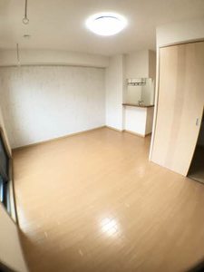 コートサンエー 0101号-12