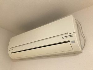 コートサンエー 0101号-14