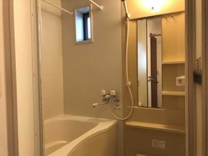 プレミア 0203号-8