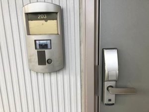 プレミア 0203号-12