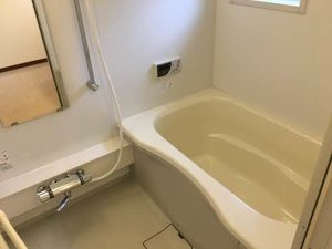 メゾンアイリスⅡ 2101号-11