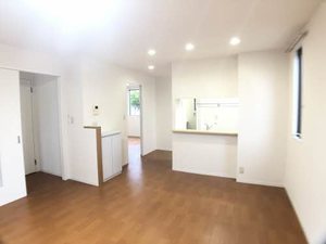 ルシオール C101号-2