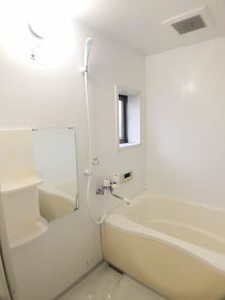 ルシオール C101号-11