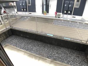 ルシオール C101号-15