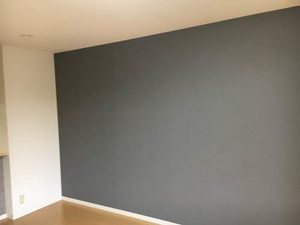 ルシオール C202号-3