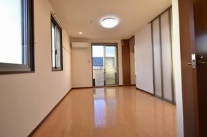 アンシャンテイチサン 0201号-4