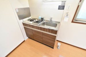 アンシャンテイチサン 0201号-5