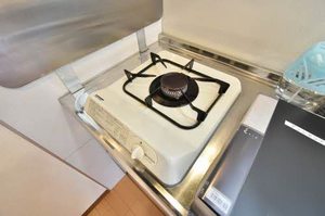 アンシャンテイチサン 0201号-6