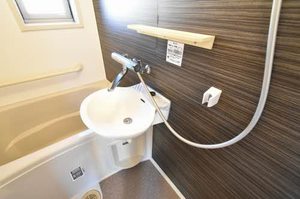 アンシャンテイチサン 0201号-10