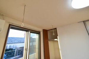 アンシャンテイチサン 0201号-11