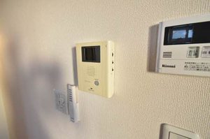 アンシャンテイチサン 0201号-14