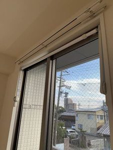 プランギ 000D号-13