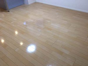 サニーコート A101号-3