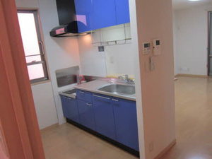 八慶岩野 0201号-8