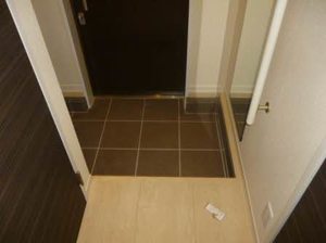 プレミアム・ベレオ 0103号-9