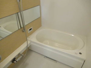 フォンテーヌパルス 0201号-11