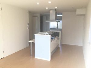 メイプルヴィラ 0102号-2