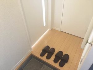 メイプルヴィラ 0102号-3