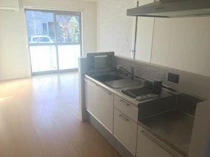 メイプルヴィラ 0102号-5