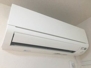 メイプルヴィラ 0102号-9