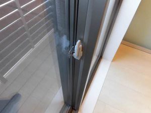 ミントテラス 0101号-4