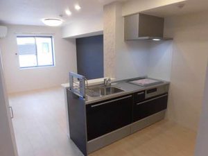 ミントテラス 0101号-8