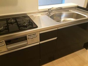 フローラテラスⅡ 0203号-9