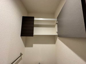 ｗｅｌｌ－ｂｅｉｎｇ 0302号-11