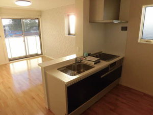 丸花見壱号館 0201号-6