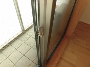 丸花見壱号館 0203号-9